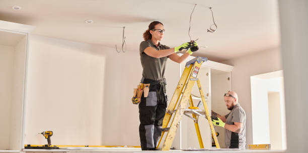 Best Electric Panel Repair  in Mallory, WV