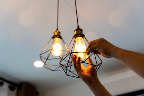 Best Home Electrical Repair  in Mallory, WV