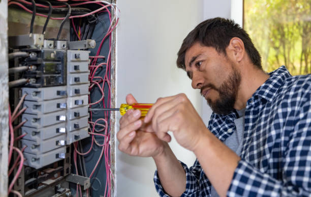 Best Electrical Repair Services  in Mallory, WV